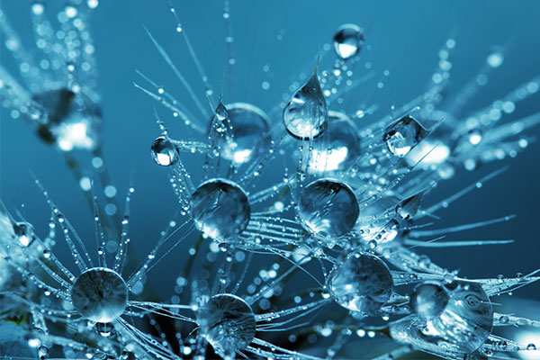 เหตุใดการใช้แคลเซียม L-Methylfolate ที่มีความเสถียรสมบูรณ์แบบจึงเป็นสิ่งสำคัญ