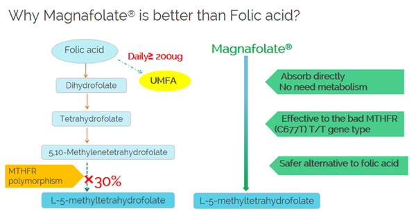 ทำไม Magnafolate ถึงดีกว่ากรดโฟลิก?