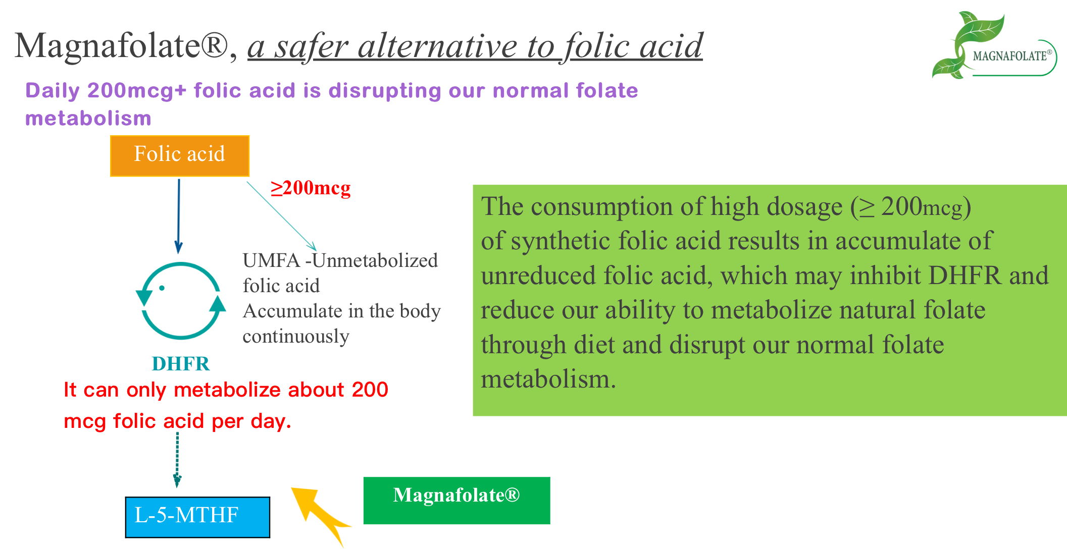 Magnafolate ทางเลือกที่ปลอดภัยกว่าสำหรับกรดโฟลิก