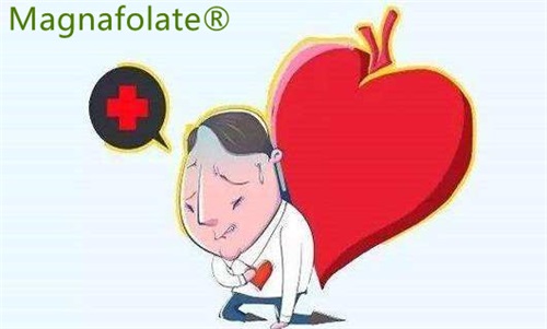 L-5-Methylfolate: อาจลดความเสี่ยงโรคหลอดเลือดสมองและหัวใจวาย
