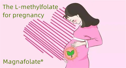 L-methylfolate สำหรับคนตั้งครรภ์