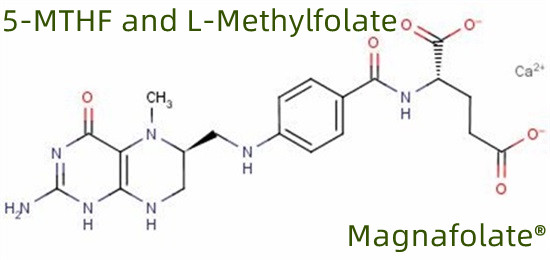 5-MTHF และ L-เมทิลโฟเลต