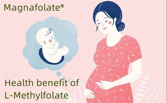 การป้องกันข้อบกพร่องของท่อประสาทด้วย l-methylfolate
