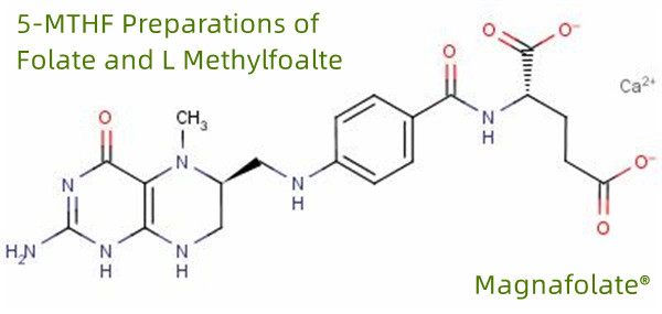 การเตรียมโฟเลตและ L Methylfoalte 5-MTHF