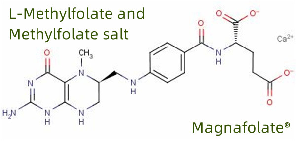ผู้ผลิตและจำหน่าย L Methylfolate ระดับโลก