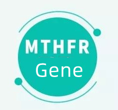 ถ้าคุณมียีน MTHFR หมายความว่าอย่างไร?