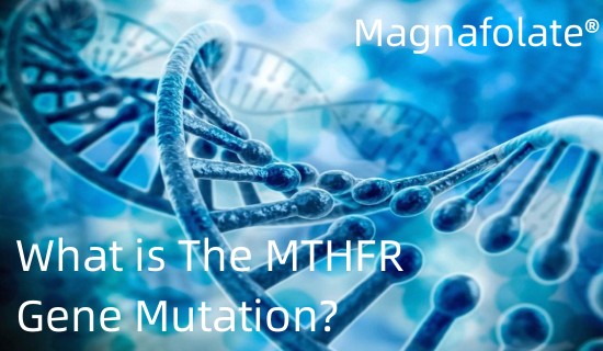 การกลายพันธุ์ของยีน MTHFR คืออะไร