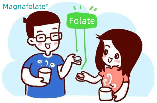 คุณควรได้รับโฟเลตเท่าใดในหนึ่งวัน?