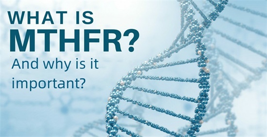 MTHFR คืออะไรและเหตุใดจึงสำคัญ