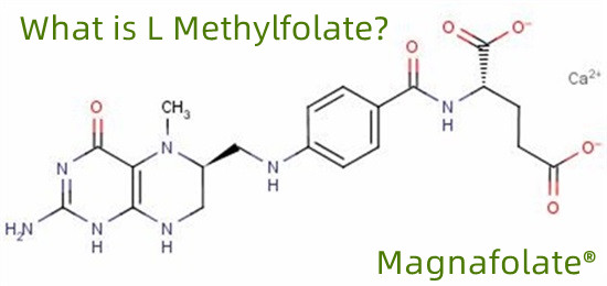 L-methylfolate 151533-22-1 ความบริสุทธิ์สูง 99% 1,000 กรัม/ถุง
