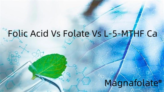 กรดโฟลิกเทียบกับโฟเลตเทียบกับ L-5-MTHF Ca