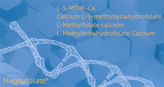 แคลเซียม L-5-methyltetrahydrofolate Cas151533-22-1