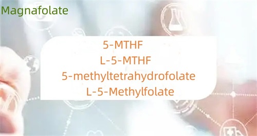 ความแตกต่างระหว่าง 5-methyltetrahydrofolate และโฟเลตคืออะไร