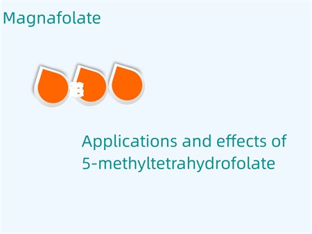 การใช้งานและผลกระทบของ 5-methyltetrahydrofolate