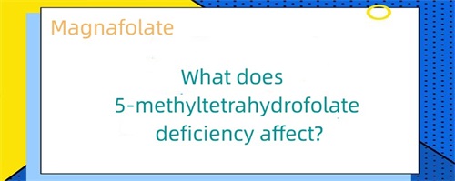 การขาด 5-methyltetrahydrofolate ส่งผลอย่างไร?