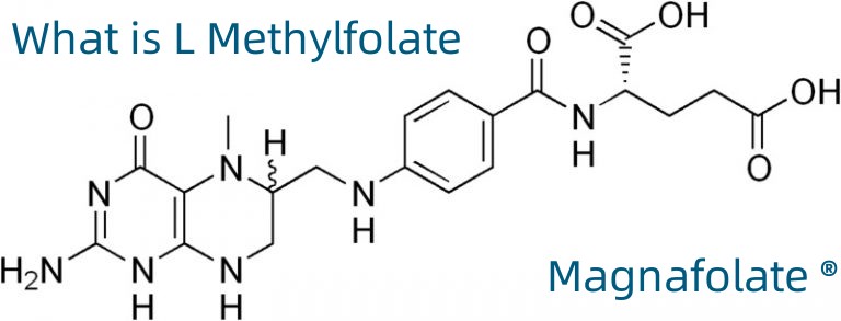 L-5-Methyltetrahydrofolate แคลเซียม CAS No.:151533-22-1