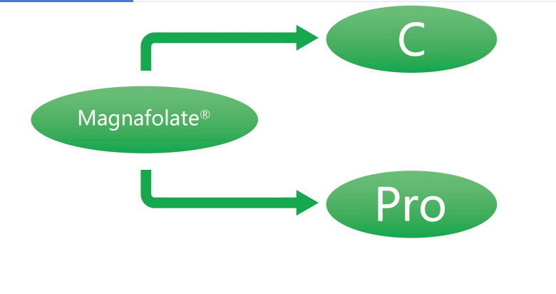Magnafolate C และ Pro—L-Methylfolate แคลเซียม