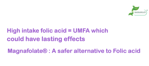 การศึกษาครั้งที่ 1-UMFA รอบชิงชนะเลิศ