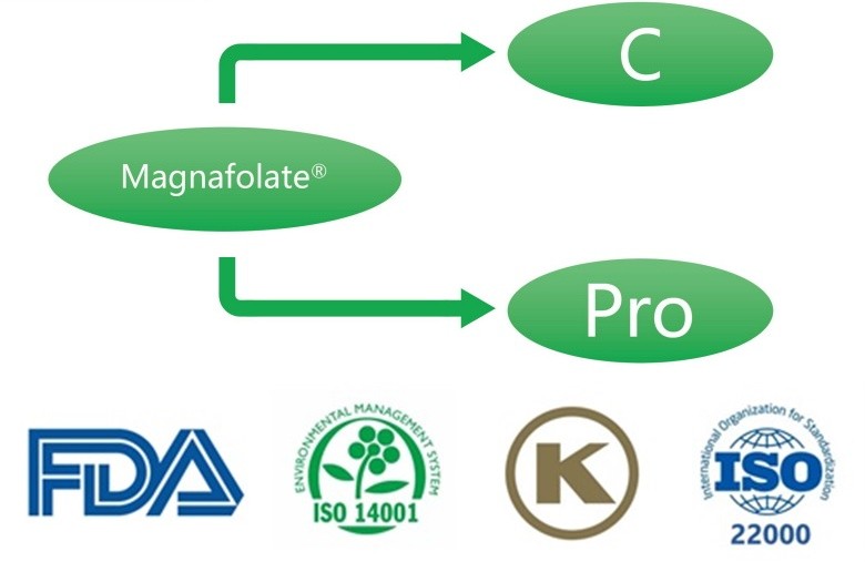 แคลเซียม L-5-methyltetrahydrofolate คืออะไร? ซัพพลายเออร์มีอะไรบ้าง?