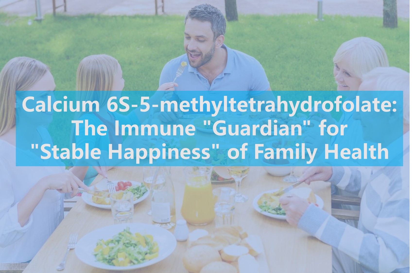 แคลเซียม 6S-5-methyltetrahydrofolate: ภูมิคุ้มกัน 